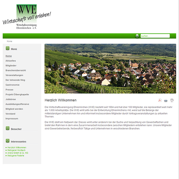 portfolio single item image