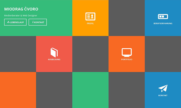 portfolio single item image