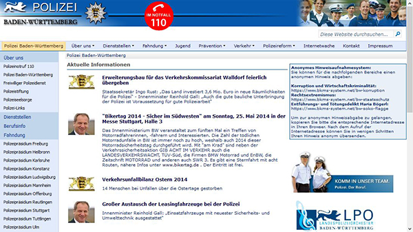 portfolio single item image